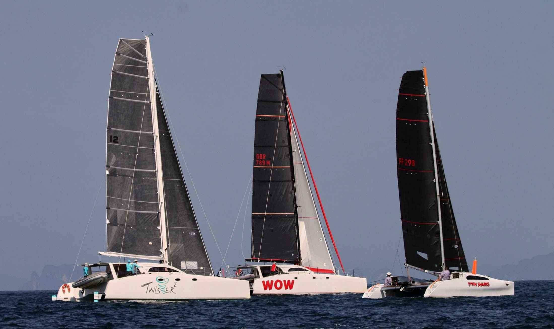 Cats racing in Phuket